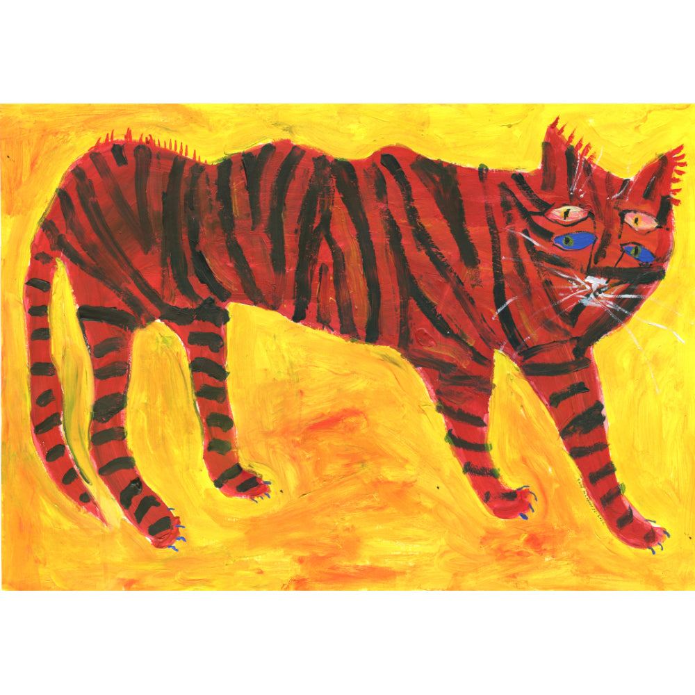 Big Exotic House Cat