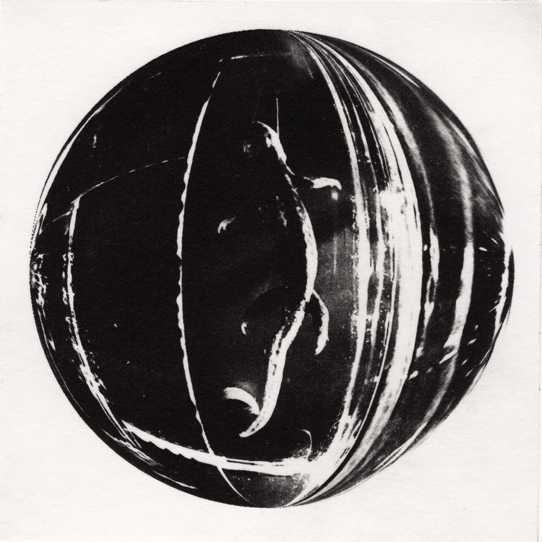 Specimen III