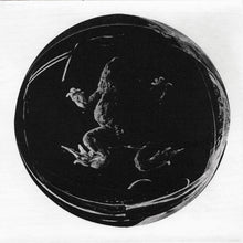 Load image into Gallery viewer, Specimen II