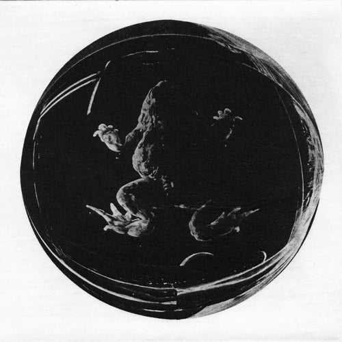 Specimen II