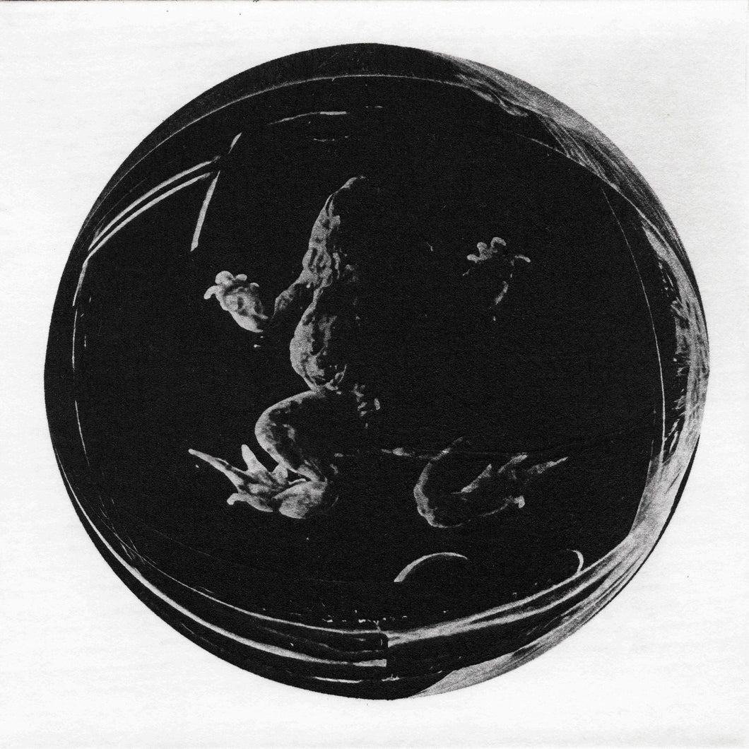 Specimen II