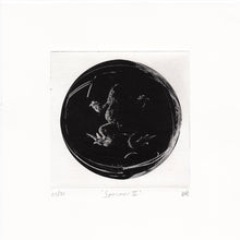 Load image into Gallery viewer, Specimen II