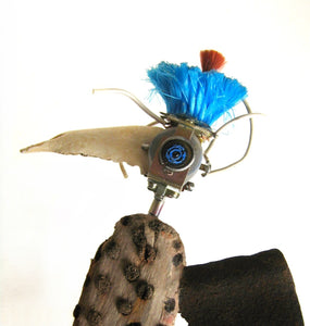 Electriflying Blue Crest