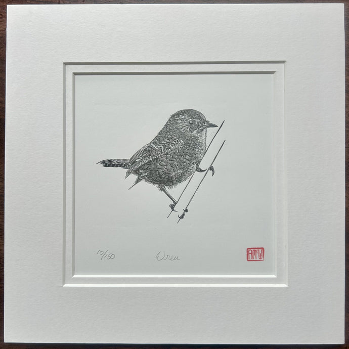 Wren