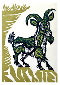 Year of the Goat