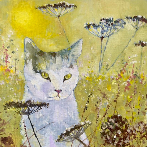 Sweet Meadow Cat