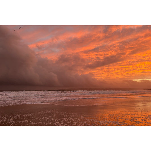 Under A Blood Red Sky