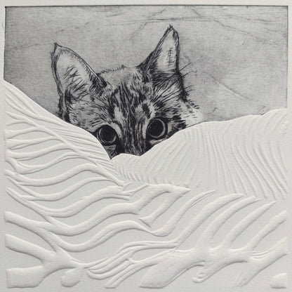 13.5 Mog Duvet