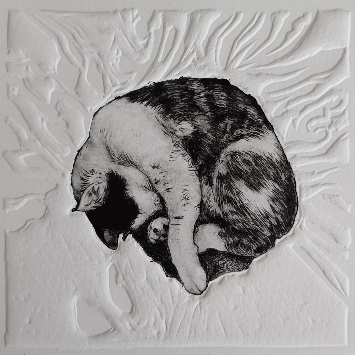 Cat Naps I