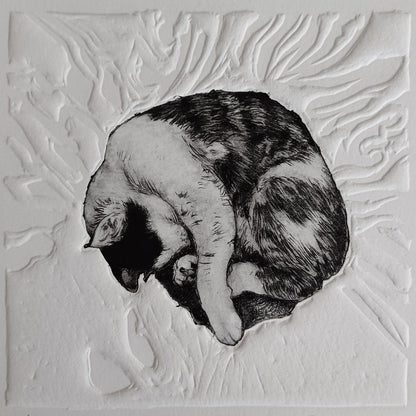 Cat Naps I
