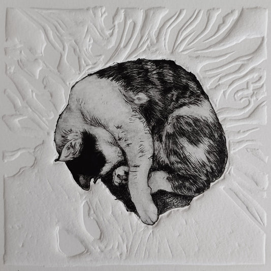 Cat Naps I