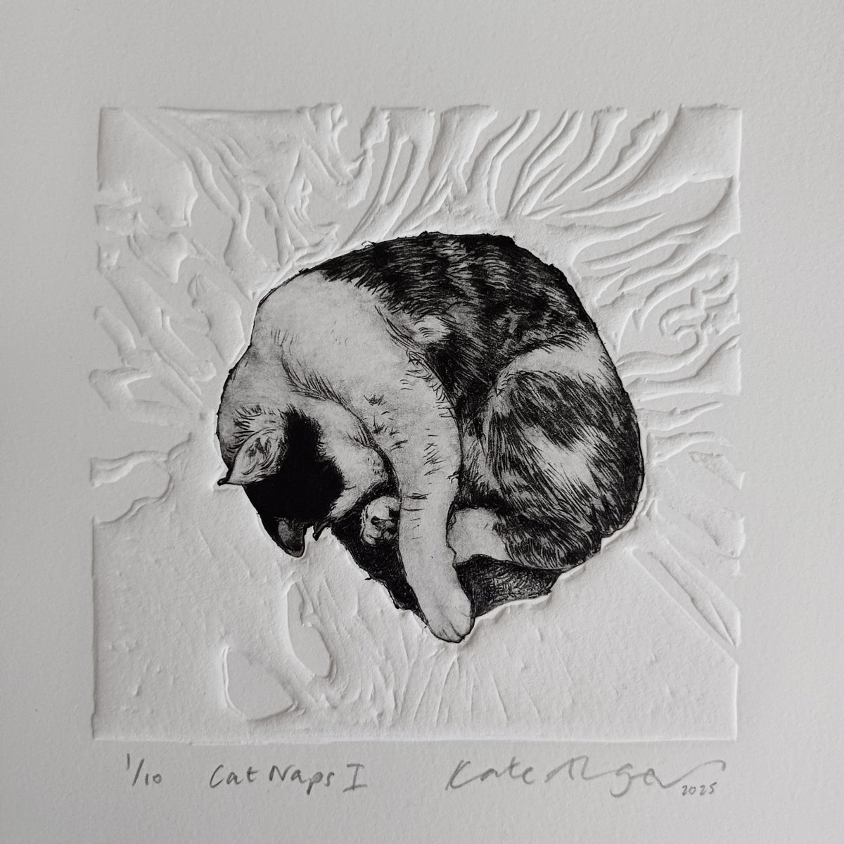 Cat Naps I