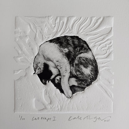 Cat Naps I