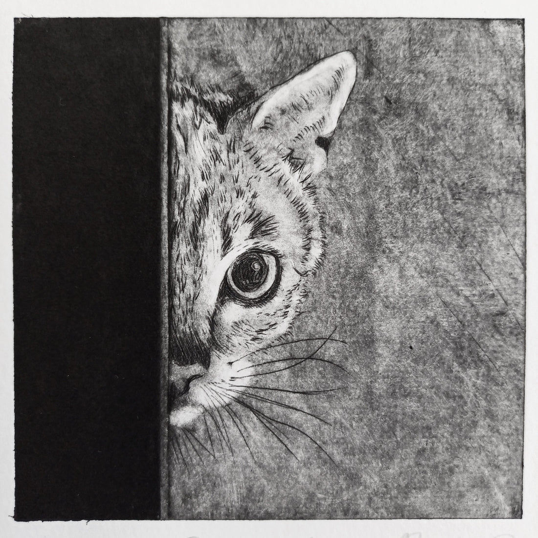 Peeping Tom