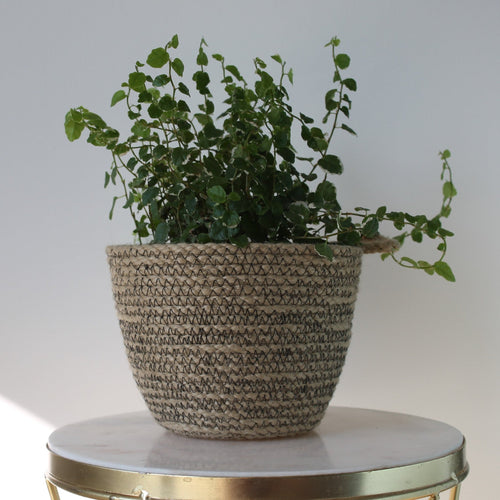 Knotsy Plant Pot