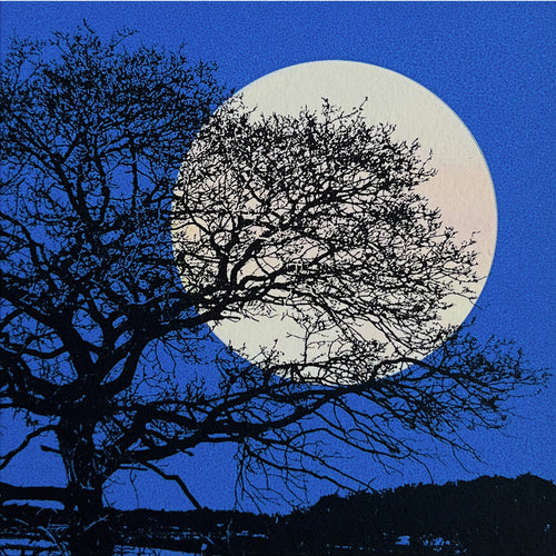 Winter Moon