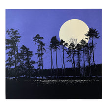 Load image into Gallery viewer, Moonlight