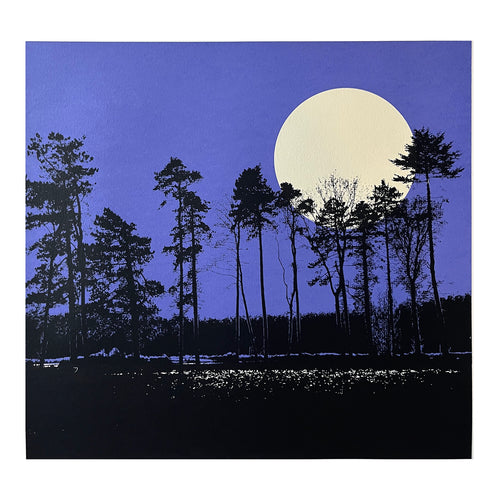Moonlight