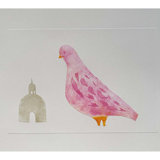 Pink pigeon