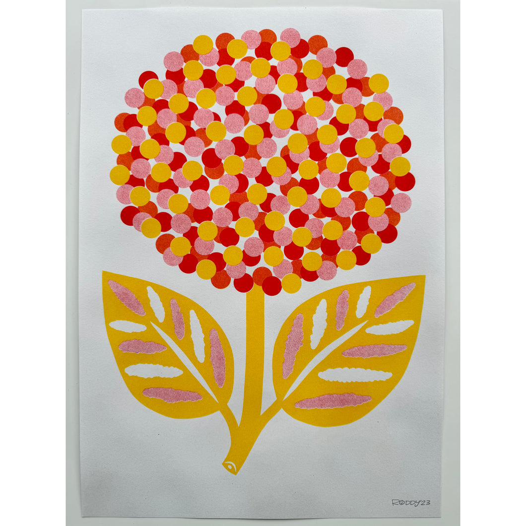 Multicolour Hydrangea Print