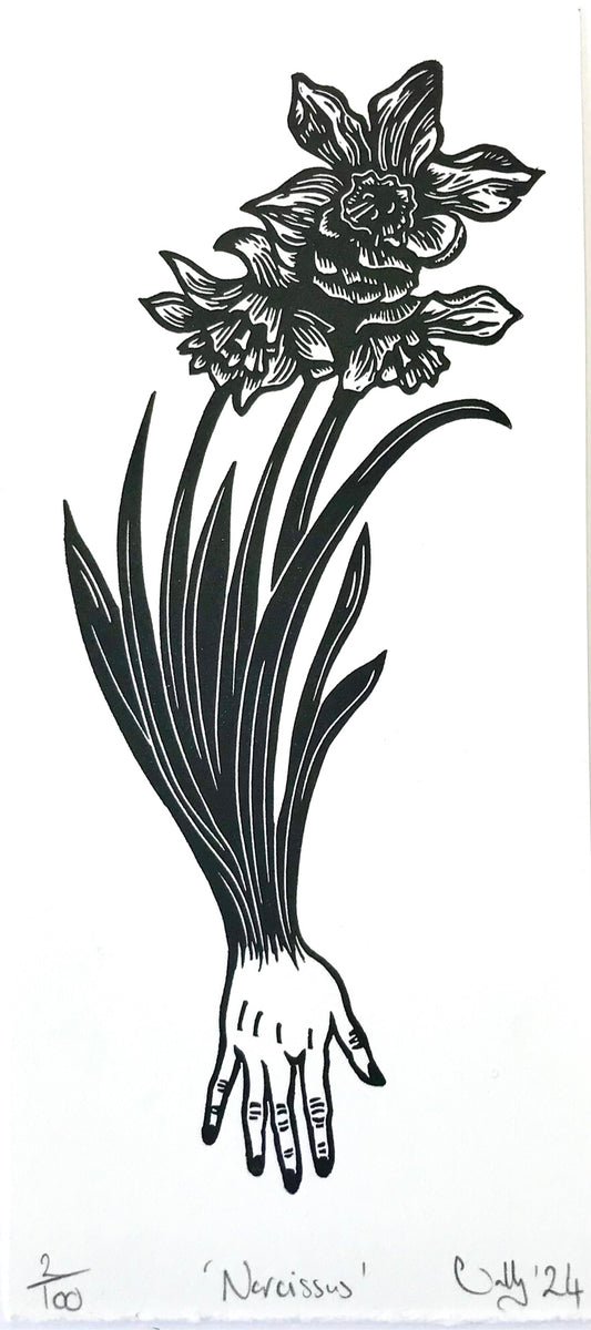 Narcissus