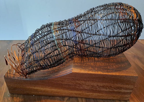 Nest 8