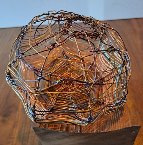 Nest 5