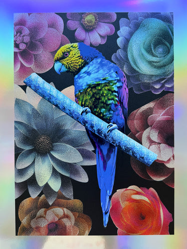 Blue Parrot
