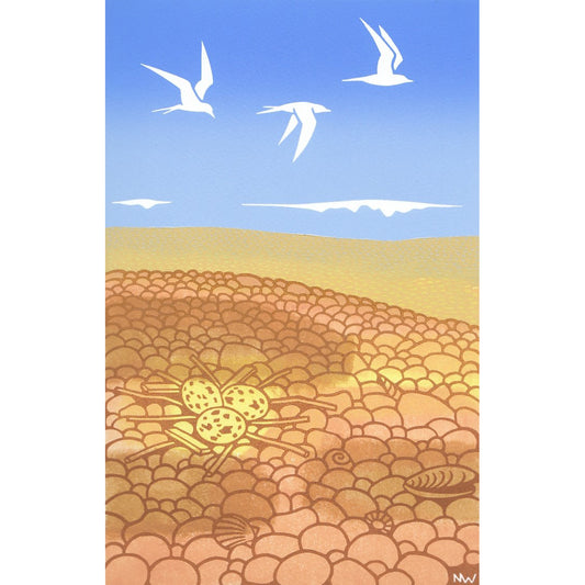 Tern Nest