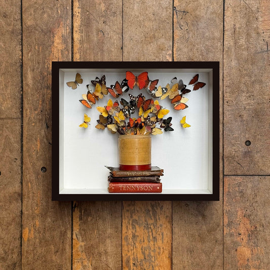 Butterflies, Pot and Books