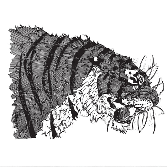 Nightwatch: The Tiger