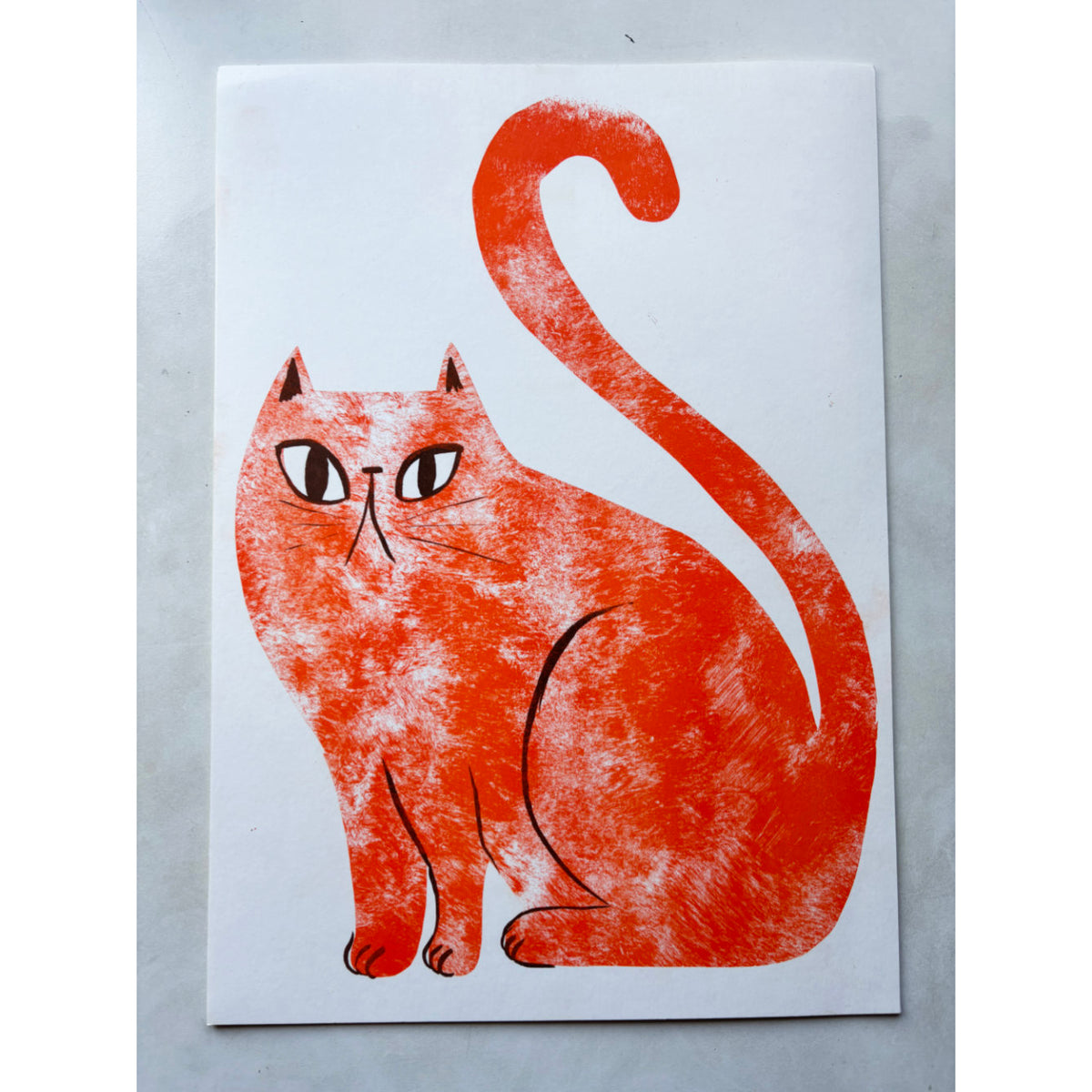 Orange Cat