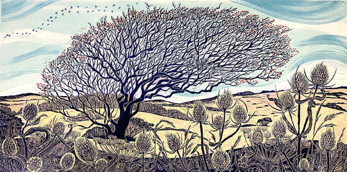 Reaching to Solstice