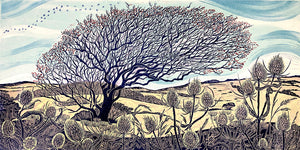 Reaching to Solstice