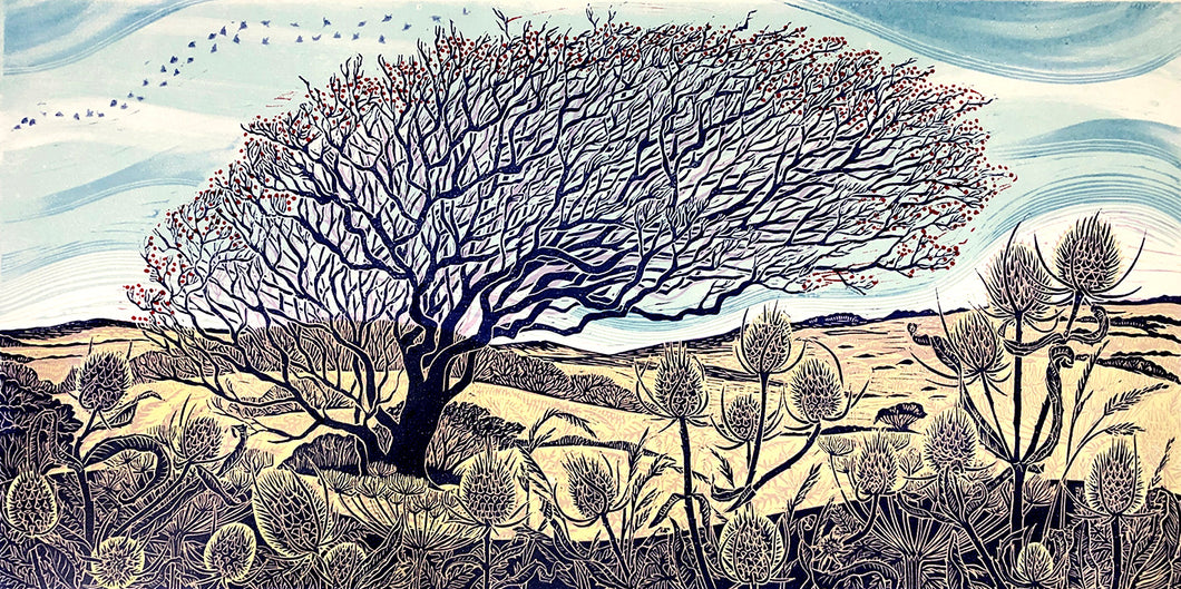 Reaching to Solstice