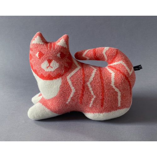 Ginger Tabby Cat