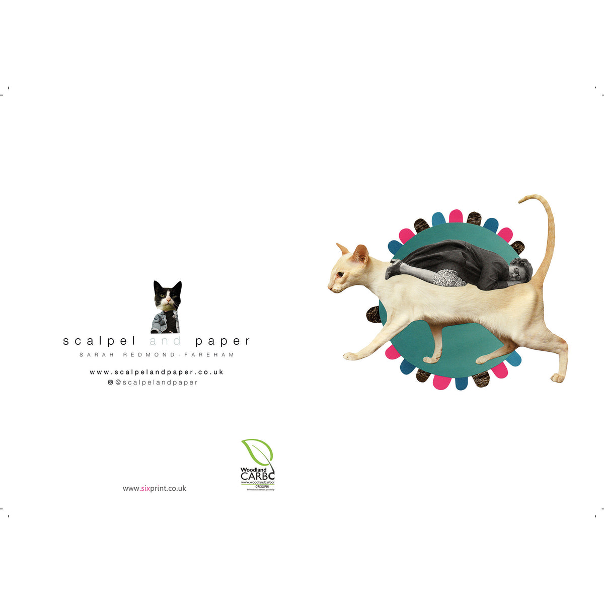 Constance Needed a Catnap Greeting Card
