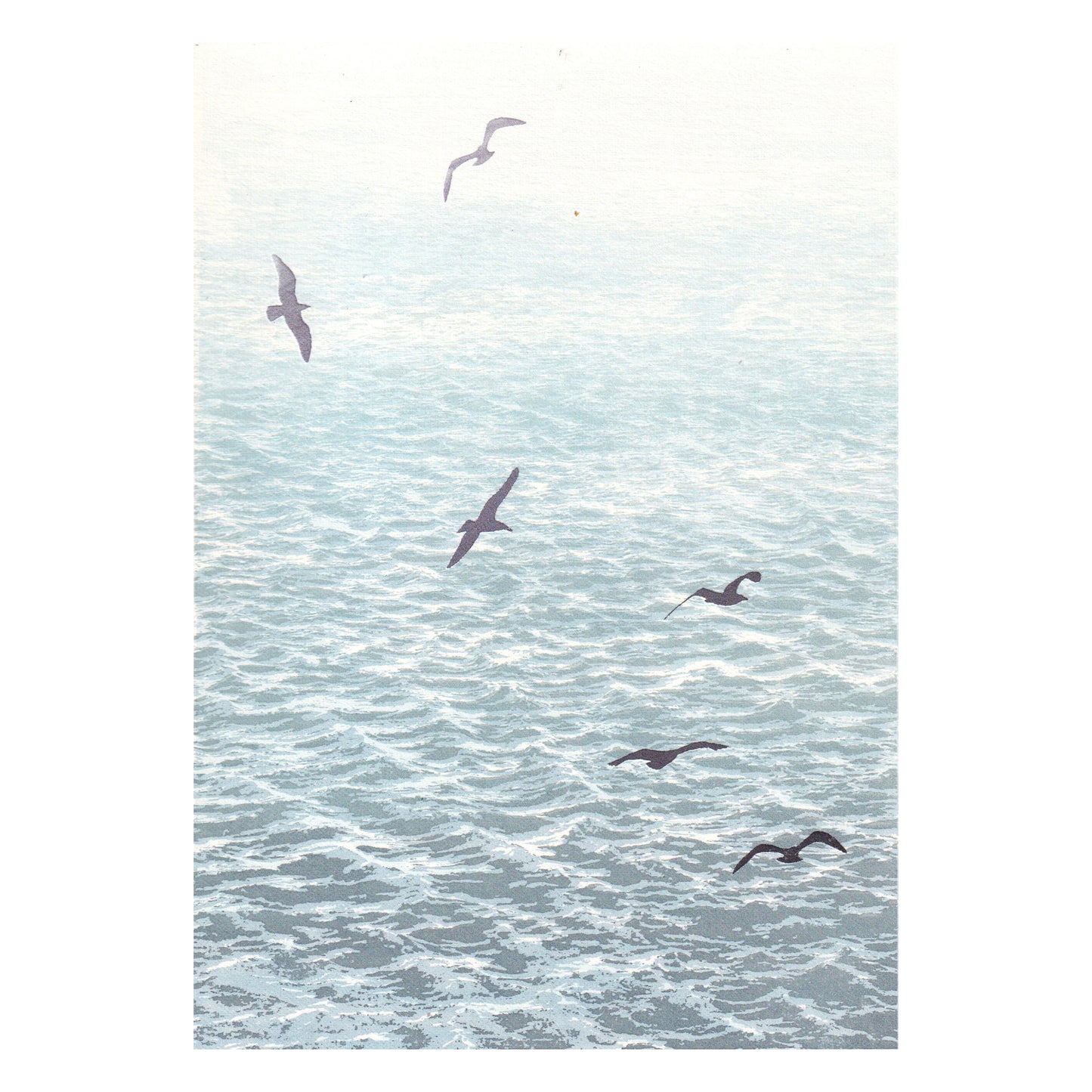 Sea Mist