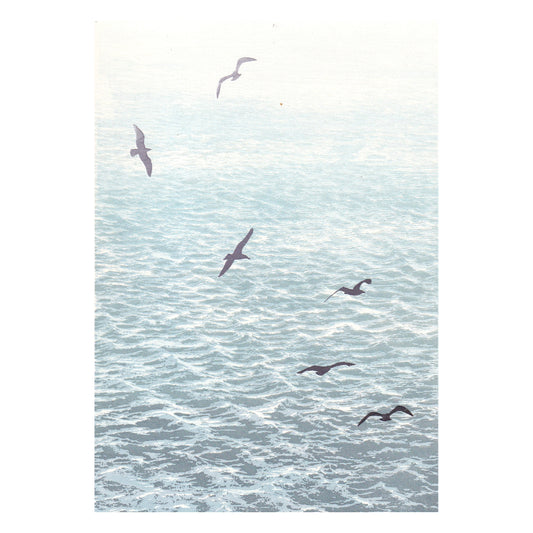 Sea Mist