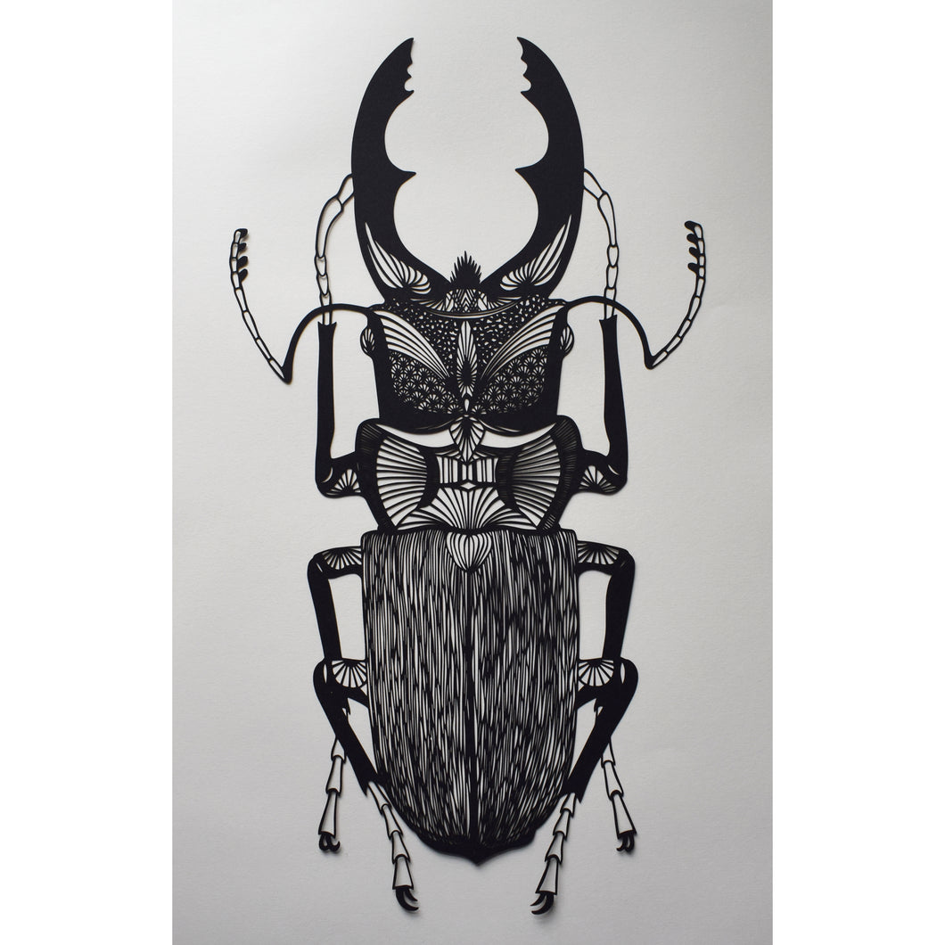 Stag Beetle