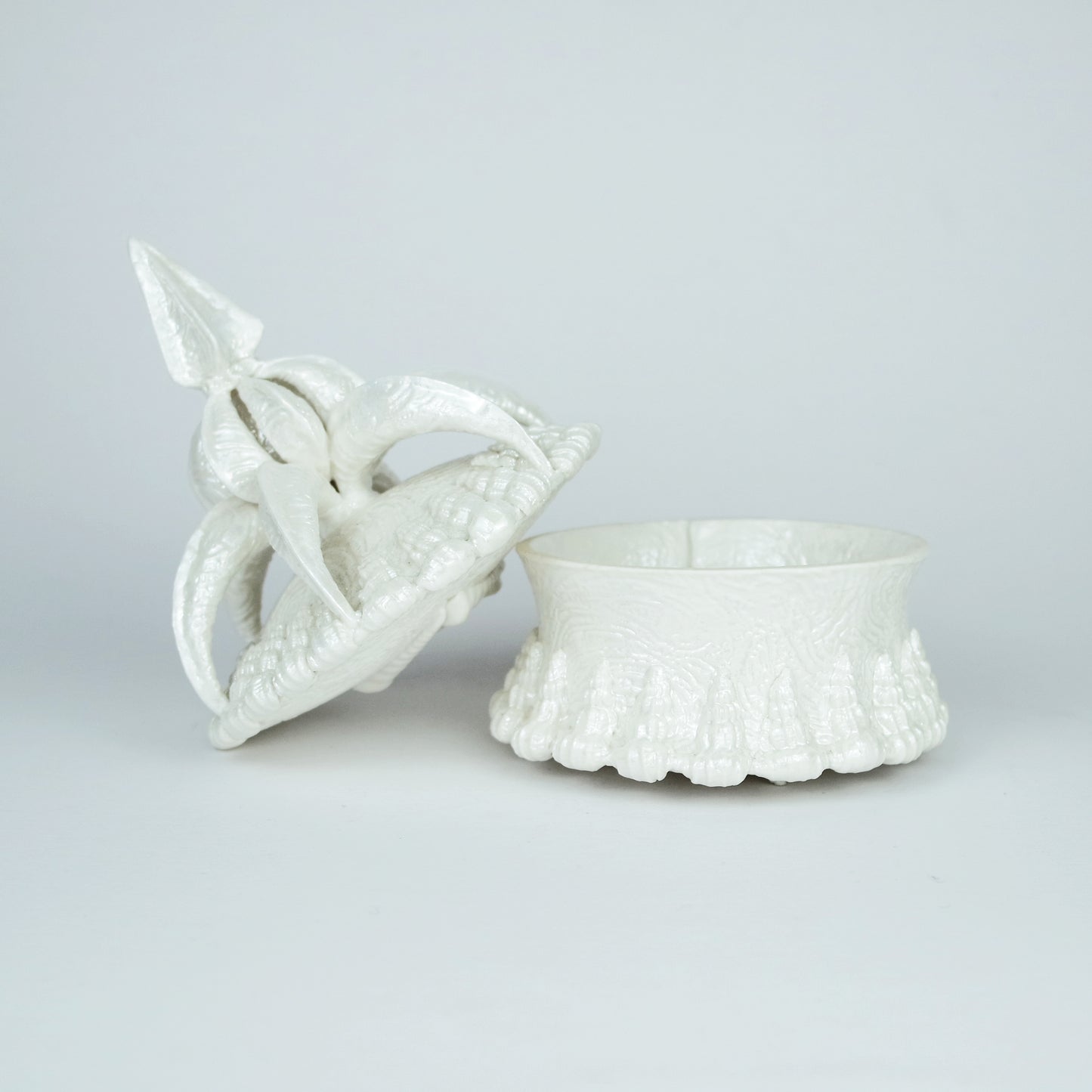 Scalloped Lustre Lidded Pot