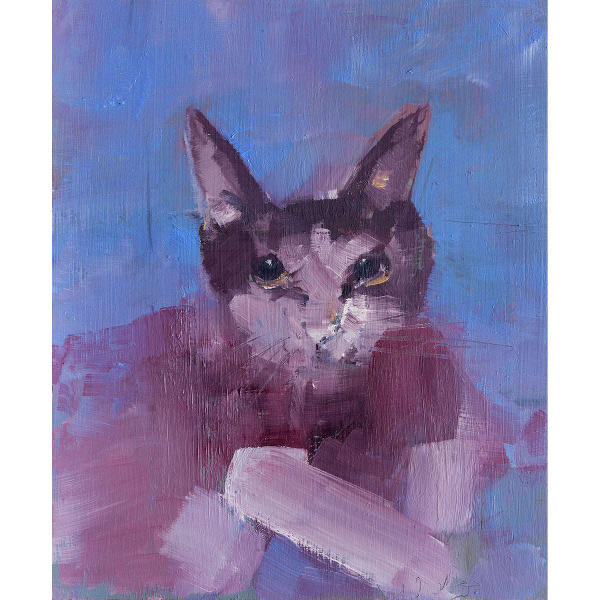 Thoughtful Cat