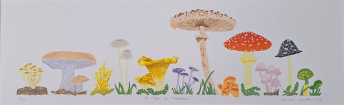 Year in Shroom