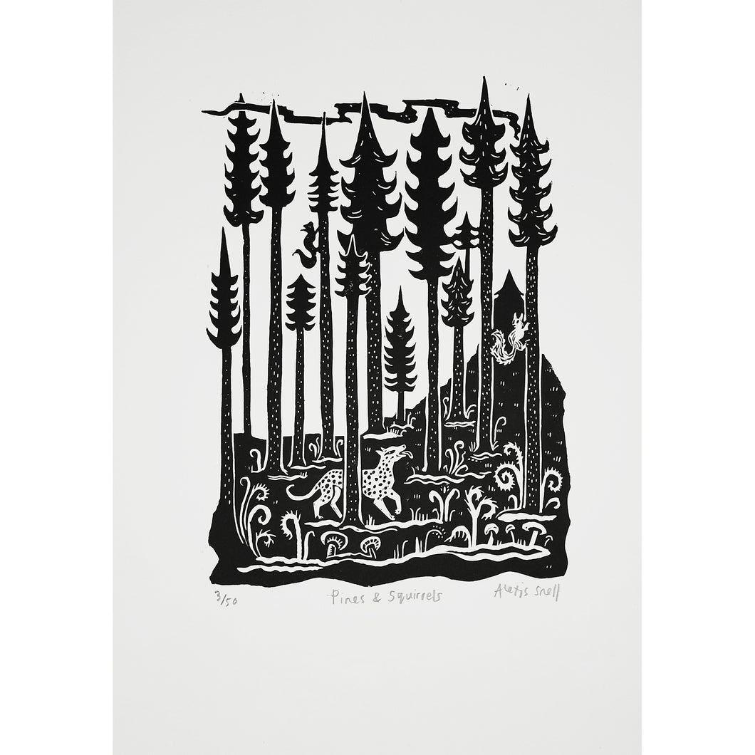 Pines & Squirrels