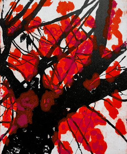 Blossom I