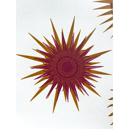 Hesperus