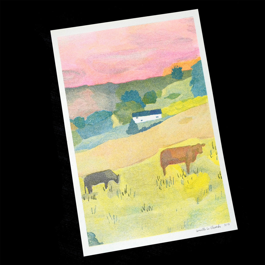 Cows in Suisse-Normande Print
