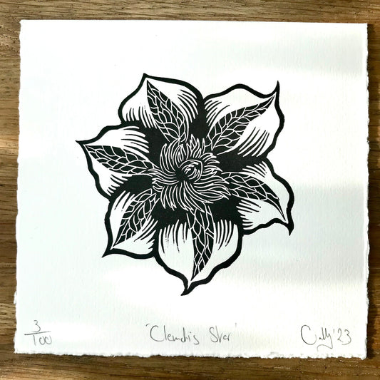 Clematis Star Print
