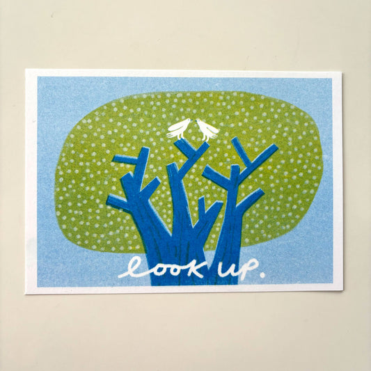 Look Up