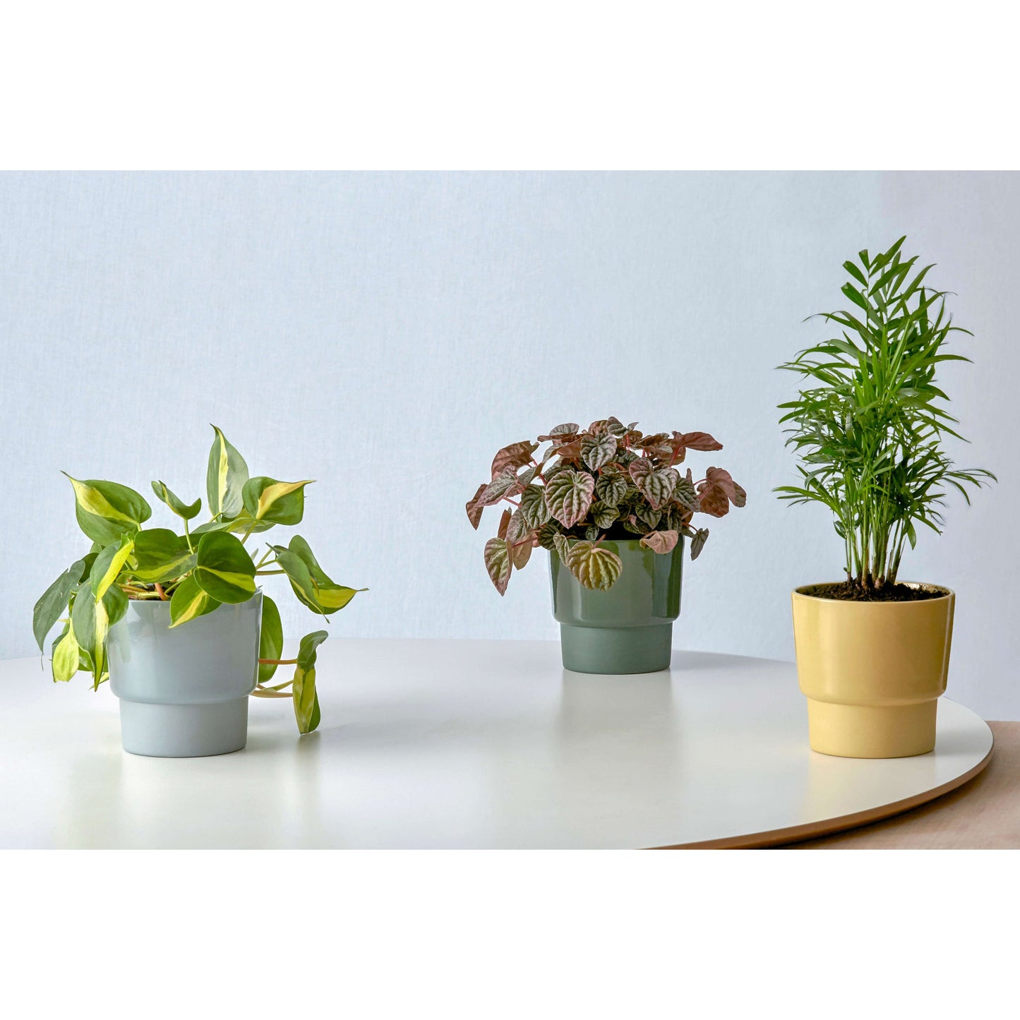 Medium Planter in Moss Green